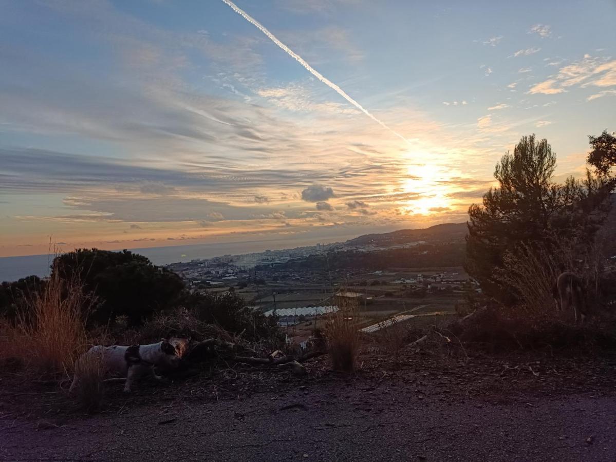 Casaemy Διαμέρισμα Pineda de Mar Εξωτερικό φωτογραφία