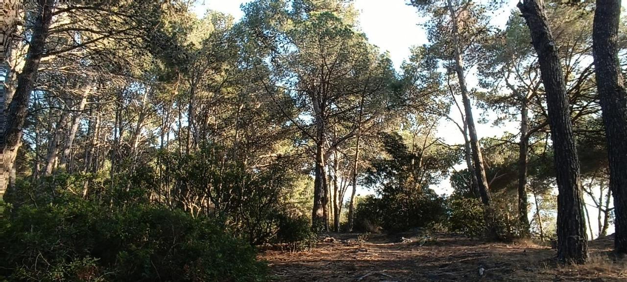Casaemy Διαμέρισμα Pineda de Mar Εξωτερικό φωτογραφία